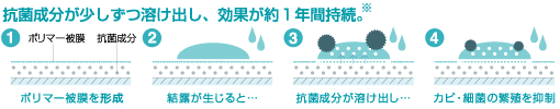 効果が1年間持続