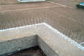 tmx_hato_003.jpg