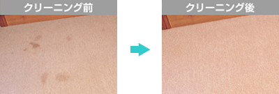 home_carpet_mobile02.png