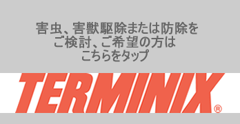 tmx_logo.png