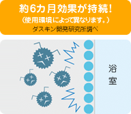 約6ヶ月効果が持続